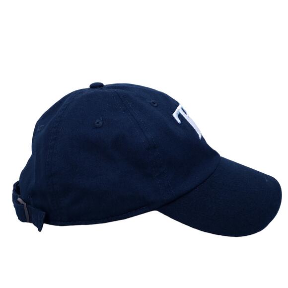 Tampa Bay Devil Rays MLB Fan Favorite Baseball Hat Cap Adjustable Strap Blue - Picture 2 of 10